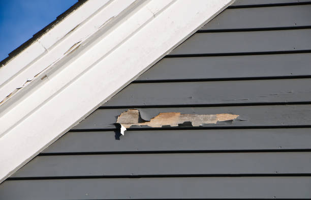 Best Siding for New Construction  in Sa Loma, CA